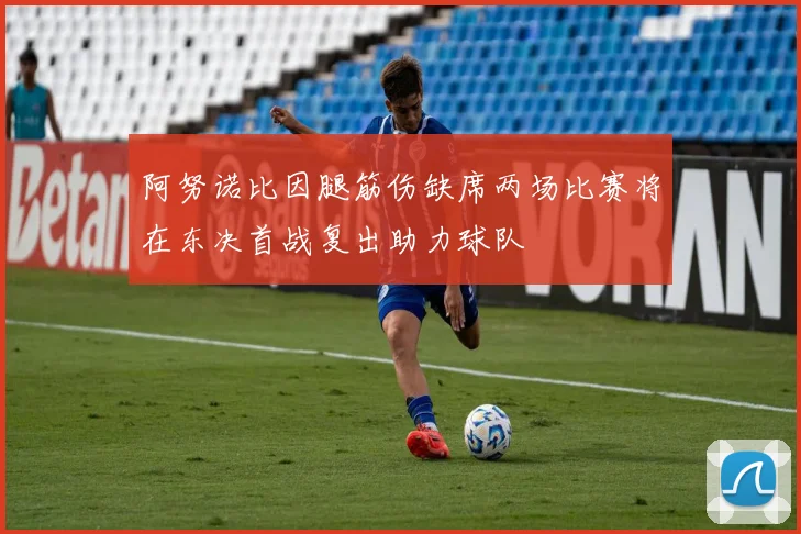 阿努诺比因腿筋伤缺席两场比赛将在东决首战复出助力球队